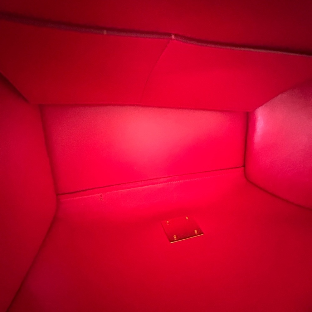 Stunning Celine Python Trapeze Shoulder And Handb… - image 8